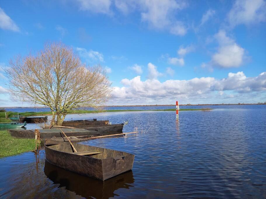 Lac Grand Lieu : Maisonnette Au Calme Avec Jardin Saint-Lumine-de-Coutais Luaran gambar